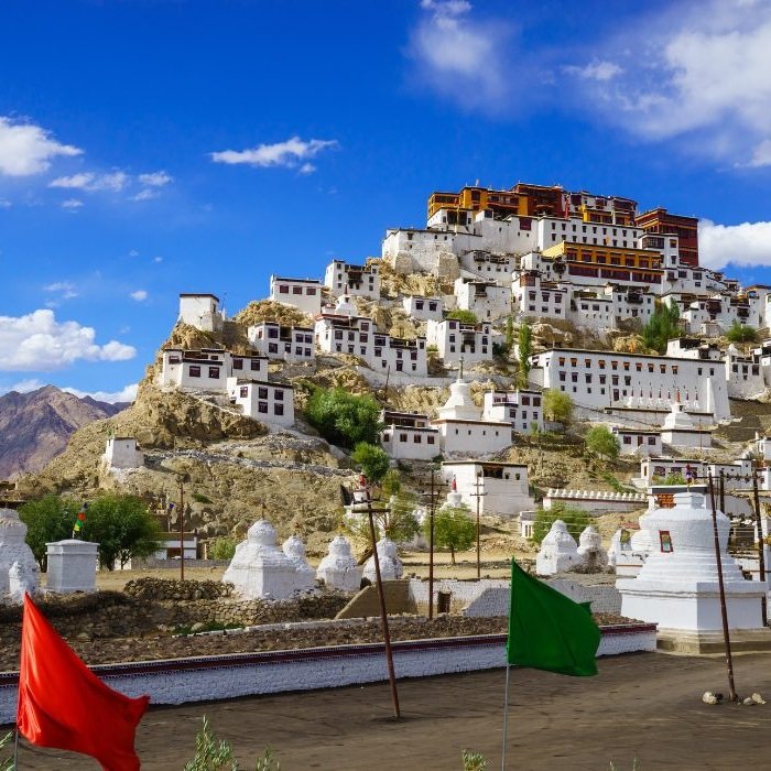 Organix Apricot & Strawberry Lipbalm - Image 5