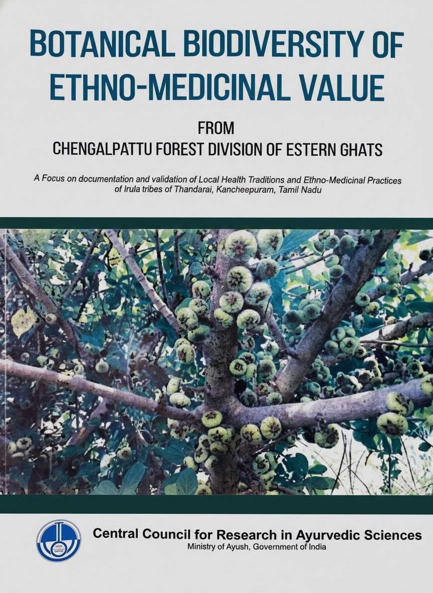 Botanical Biodiversity of Ethno-Medicinal Value (from Chengalpattu Forest division of Eastern Ghats) - Image 2